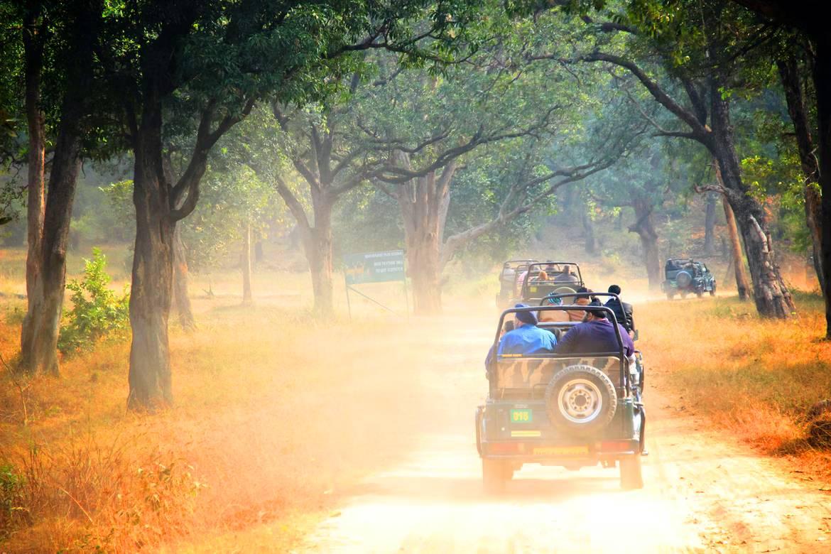 Anshi National Park